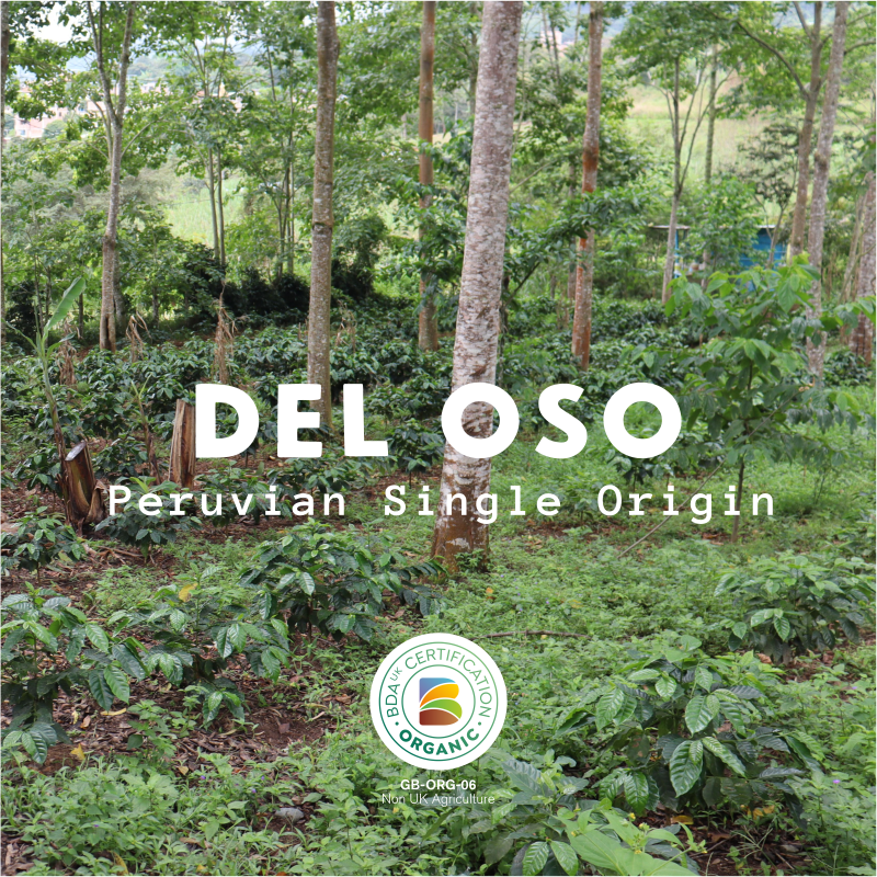 Del Oso bag, The Devon Coffee Company